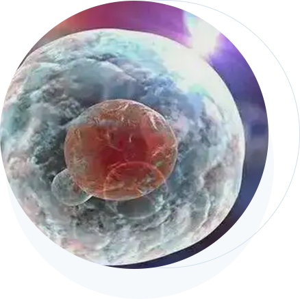 ǲ_ҳ