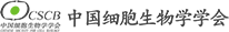 ǲ_ҳ